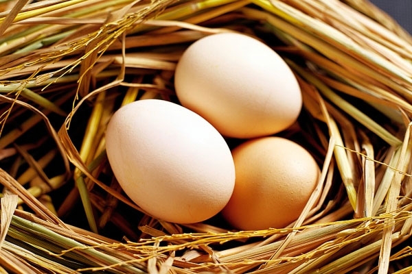 Trứng gà giúp phòng chống tăng huyết áp có hoàn toàn đúng?