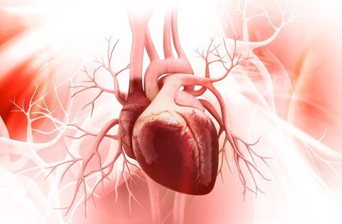 8 thói quen xấu làm tổn hại trái tim bạn cần loại bỏ