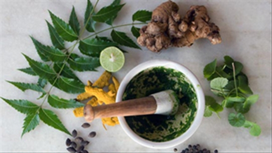 Khám phá công dụng tuyệt vời của hạt neem (nim) đối với sức khỏe