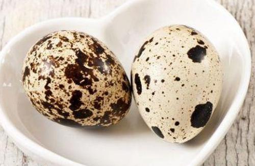 13 bài thuốc chữa bệnh từ loại trứng nhỏ xíu nhưng bổ gấp 3 lần trứng gà