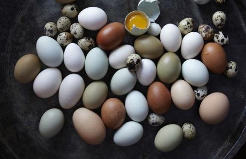 Bạn nên biết: Trứng gà và trứng cút - ăn trứng nào tốt hơn?