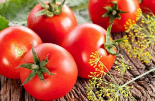Tiết lộ 8 công dụng chữa bệnh của trái cà chua mà bạn chưa hề hay biết