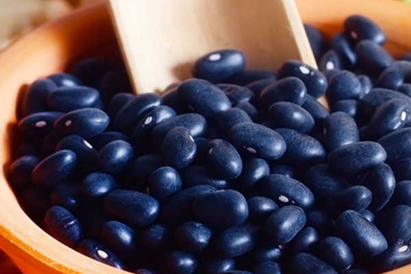 Lợi ích đối với sức khỏe của đậu đen có thể bạn chưa biết