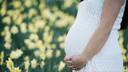 Những lợi ích nếu bạn bắt đầu mang thai vào mùa xuân