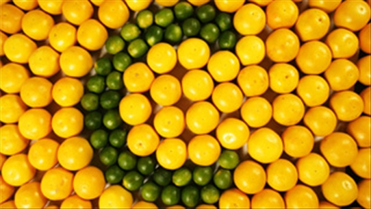 Vitamin C và nhu cầu hàng ngày cho sức khỏe con người