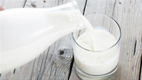 Lý do bạn cảm thấy khó chịu khi uống sữa mà trước giờ chưa biết