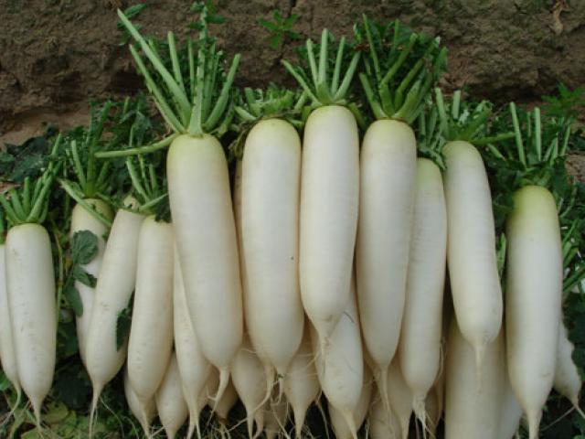 5 thực phẩm kỵ ăn với củ cải trắng vì dễ sinh bệnh tật