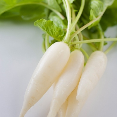 Củ cải trắng trị bệnh đường hô hấp tốt hơn thuốc tây