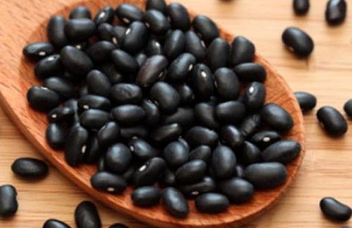 Khám phá lợi ích của đậu đen đối với sức khỏe con người