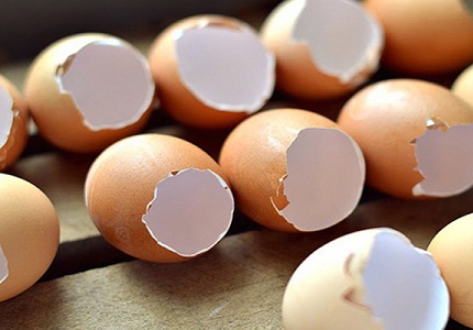 Công dụng tuyệt vời của vỏ trứng giúp bảo vệ khớp!