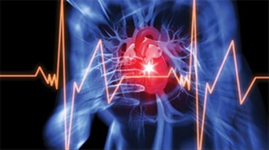 Bệnh tim mạch - "Sát thủ thầm lặng" không loại trừ một ai