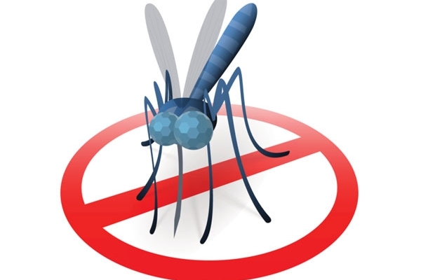 Bạn biết gì về bệnh sốt rét, các phòng tránh chúng như thế nào?