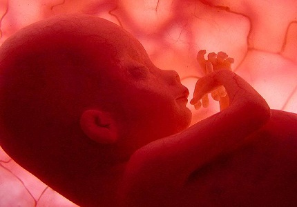 8 mối nguy hiểm thai nhi có thể gặp phải trong thai kỳ