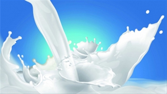 Người suy tim độ 4 thời gian đầu cần uống sữa hỗn hợp