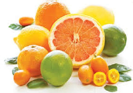 Những loại quả có múi cực tốt cho người già mùa hè Những loại quả có múi cực tốt cho người già mùa hè