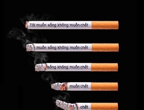 Thói quen xấu sử dụng thuốc lá - Hút loại nào cũng hại