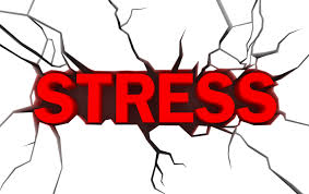 11 lời khuyên giúp giảm stress bằng thói quen sinh hoạt