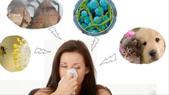 Cách phòng bệnh viêm mũi dị ứng lúc chuyển mùa, bạn đã biết chưa?