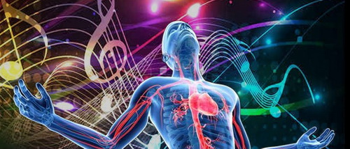 Âm nhạc tác dụng tới cơ thể con người như thế nào?