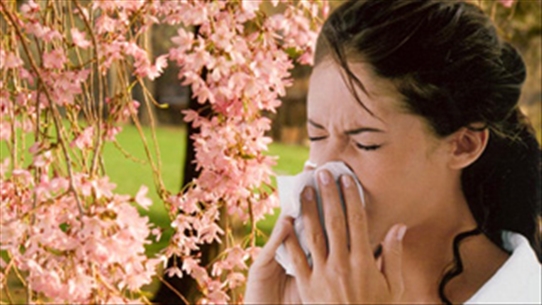 Cách đối phó với viêm mũi dị ứng khi đổi mùa cực kỳ hiệu quả