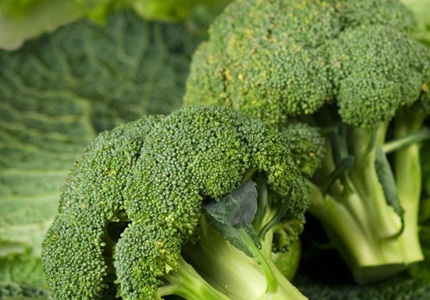 Điểm qua 7 loại rau củ bổ dưỡng cho mùa hè bạn nên biết