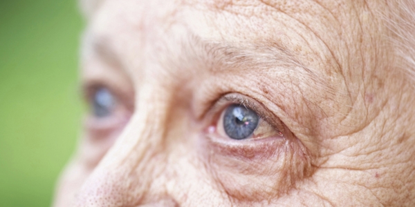 Các loại thuốc ngăn ngừa lão hóa mắt vô cùng hiệu quả