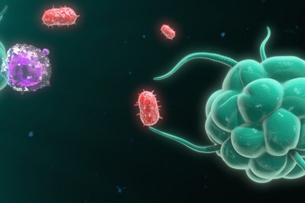 Ly giải tế bào vi khuẩn, đột phá mới giúp giảm kháng kháng sinh