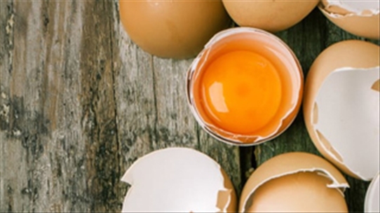 Bạn nên biết: Con gà khỏe mạnh sẽ đẻ trứng có lòng đỏ đậm?