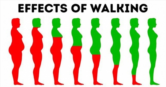 Ngày nào cũng đi bộ thì cơ thể bạn sẽ trở nên như thế này đây