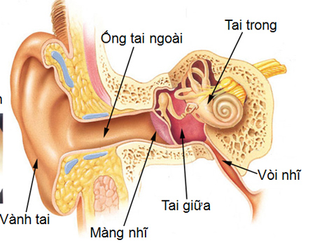 Ðể không phát tác viêm tai ngoài, bạn nên làm những gì?
