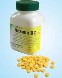 Vitamin B2 và tầm quan trọng với cơ thể như thế nào?