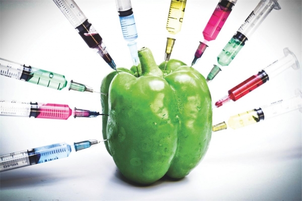 Thực phẩm 100% non-GMO là gì và vì sao nên chọn loại thực phẩm này cho bé?