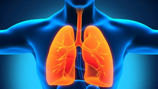 Có thể bạn chưa biết: các triệu chứng thông thường của bệnh lao phổi