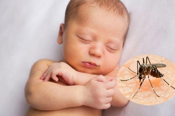 Bạn đã phòng ngừa và điều trị côn trùng cắn đúng cách chưa?