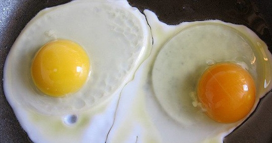 Quả trứng có lòng đỏ sẫm màu khác biệt gì với quả lòng đỏ nhạt?