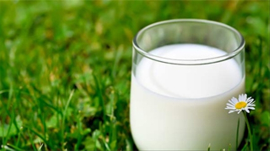 Tại sao sữa lại là "khắc tinh" của ung thư vòm họng
