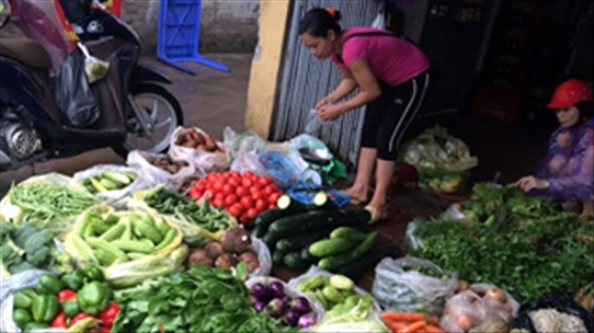 Không chỉ thịt lợn, nhiều rau củ ở Hà Nội cũng nhiễm độc - Các bạn tham khảo thêm nhé!