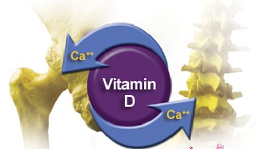 Vitamin D và canxi không giảm loãng xương, có phải không?