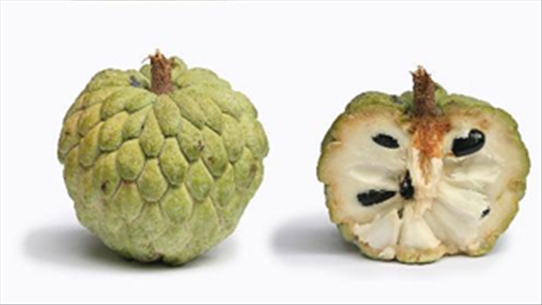 Quả na - Loại trái cây phù hợp cho người bị tiểu đường