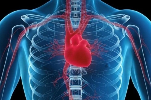 Hiểu biết để tránh các nguy cơ tiềm ẩn gây đau tim ở nam giới