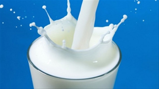 Bệnh nhân mắc bệnh gút nên cân nhắc các sản phẩm từ sữa