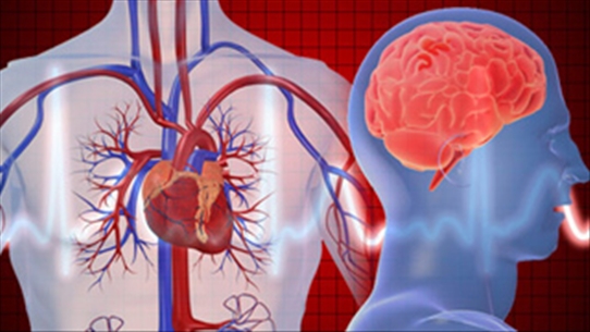 Một vài thử nghiệm giúp xác định thời điểm lên cơn đau tim