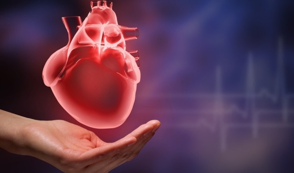 Dấu hiệu suy tim không nên bỏ qua, nếu không muốn gặp nguy hiểm