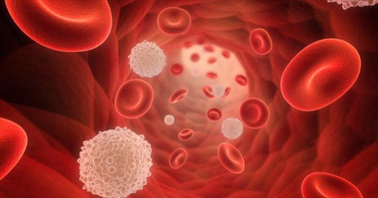 8 nguyên nhân khiến nồng độ huyết sắc tố trong máu cao đột biến