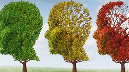 Dấu hiệu của bệnh Alzheimer để có biện pháp đối phó kịp thời