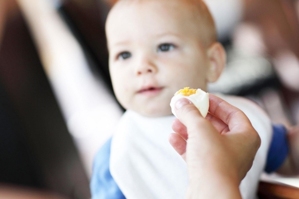 Với trẻ em, ăn trứng gà hay trứng vịt thì tốt hơn?