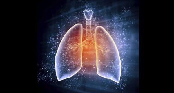 Điều trị bệnh phổi mạn tính: Công nghệ mới tái tạo lá phổi hỏng