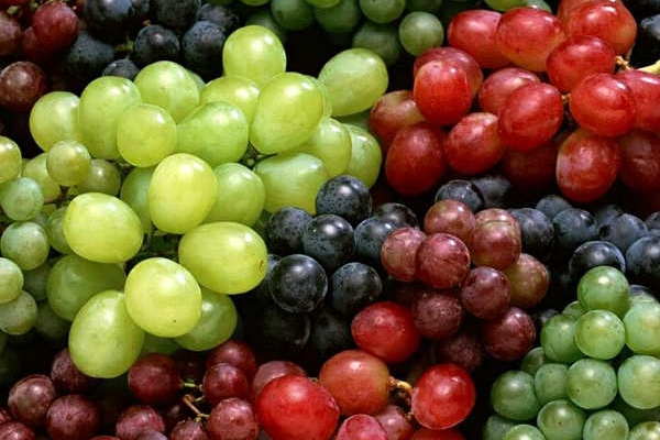 Những loại hoa quả nên ăn thường xuyên để phòng chống ung thư