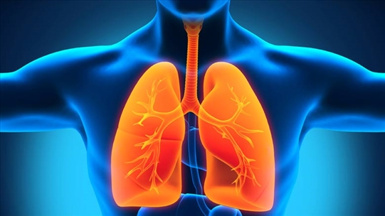 Bệnh nhân đang điều trị lao phổi cần lưu ý chế độ dinh dưỡng hợp lý