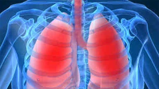 Đối tượng có tỷ lệ nhiễm cao nhất bệnh viêm thủy phổi là trẻ nhỏ